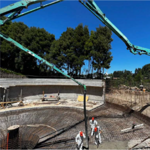 ECSANIMAGENESMesa de trabajo 11