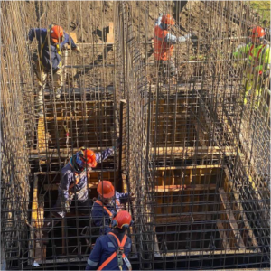 ECSANIMAGENESMesa de trabajo 5