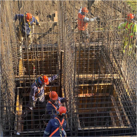 ECSANIMAGENESMesa de trabajo 5