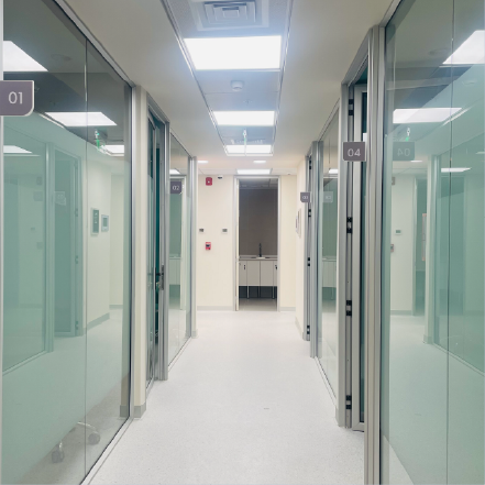 clinicaalemanaMesa de trabajo 12 copia 18